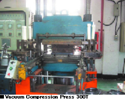 Vacuum Compression Press 300T